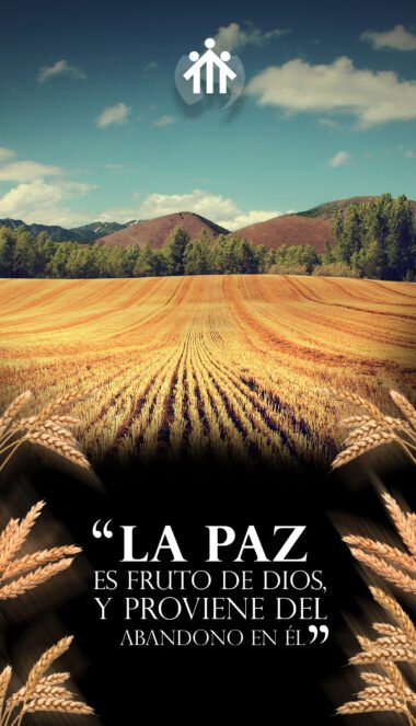 Autor: DVQ Diseño: Andradi Pinzón