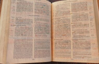 LA SABIDURÍA METÓDICA EN LA SAGRADA ESCRITURA